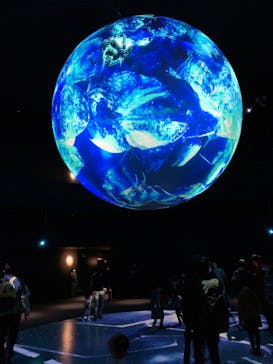 NIFREL（ニフレル）に投稿された画像（2020/2/19）