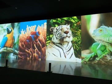 NIFREL（ニフレル）に投稿された画像（2020/2/19）