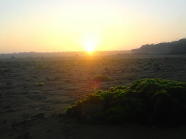 石垣島 ADVENTURE PiPi（イシガキジマアドベンチャーピピ）に投稿された画像（2020/2/19）