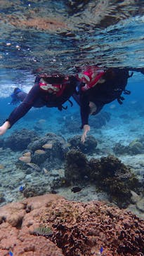 ダイビングショップ Sea Free（シーフリー）に投稿された画像（2020/2/19）