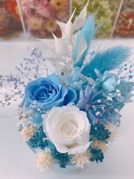 ずこうしつ〜sugamo〜に投稿された画像（2020/2/19）