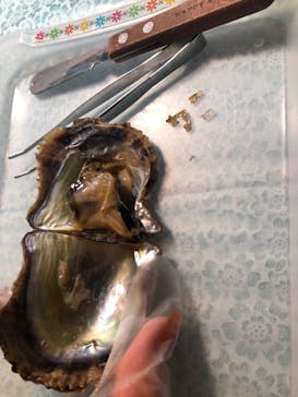 しながわ水族館に投稿された画像（2020/2/19）