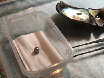 しながわ水族館に投稿された画像（2020/2/19）