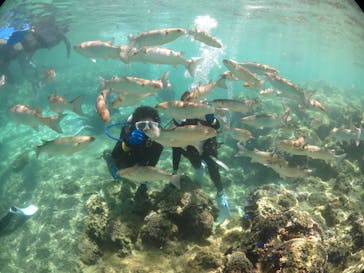 diving&workshop IHANASHI（ダイビングアンドワークショップイハナシ）に投稿された画像（2020/2/19）