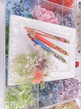 ずこうしつ〜sugamo〜に投稿された画像（2020/2/20）