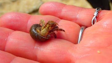 ダイビングショップ Sea Free（シーフリー）に投稿された画像（2020/2/20）