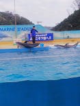 下田海中水族館に投稿された画像（2020/2/20）