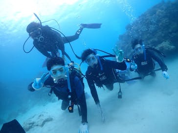 ダイビングショップ Sea Free（シーフリー）に投稿された画像（2020/2/20）