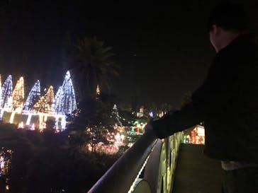 美らヤシパークオキナワ・東南植物楽園に投稿された画像（2020/2/20）