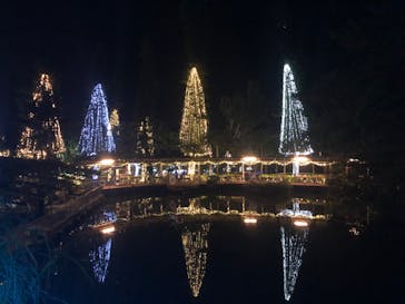 美らヤシパークオキナワ・東南植物楽園に投稿された画像（2020/2/20）