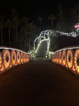 美らヤシパークオキナワ・東南植物楽園に投稿された画像（2020/2/20）