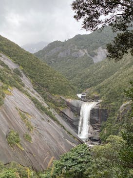 屋久島ガイドクラブに投稿された画像（2020/2/21）