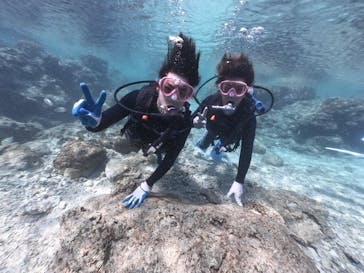 武藤潜水に投稿された画像（2020/2/21）