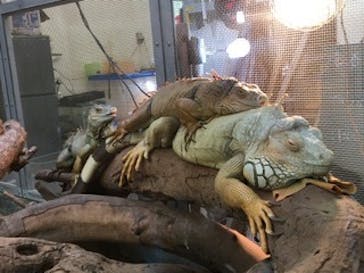 沖縄こどもの国に投稿された画像（2020/2/21）