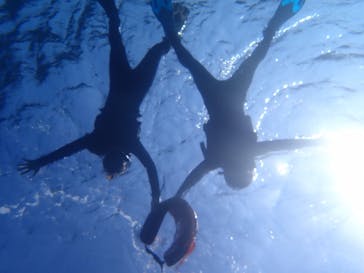 石垣島 ADVENTURE PiPi（イシガキジマアドベンチャーピピ）に投稿された画像（2020/2/21）