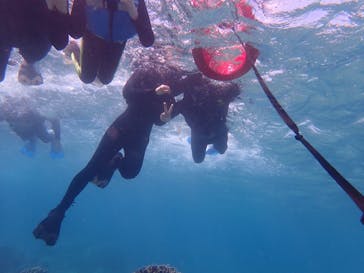 石垣島 ADVENTURE PiPi（イシガキジマアドベンチャーピピ）に投稿された画像（2020/2/21）