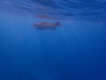 AQUA COLOR'S（アクアカラーズ）に投稿された画像（2020/2/22）