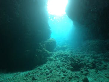 武藤潜水に投稿された画像（2020/2/22）