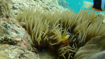 武藤潜水に投稿された画像（2020/2/22）