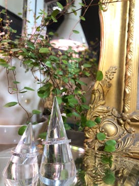 impera accessory（インペラアクセサリー）に投稿された画像（2020/2/22）