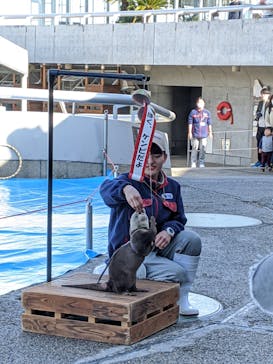 大分マリーンパレス水族館 「うみたまご」に投稿された画像（2020/2/22）