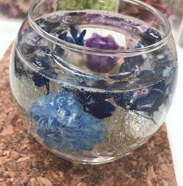 ずこうしつ〜sugamo〜に投稿された画像（2020/2/22）