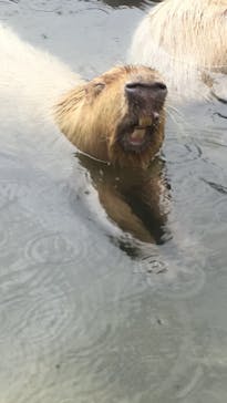 姫路セントラルパークに投稿された画像（2020/2/22）