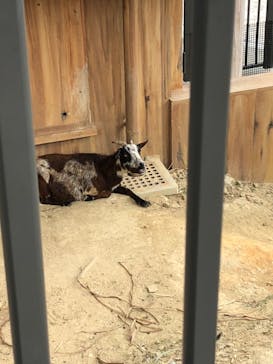 沖縄こどもの国に投稿された画像（2020/2/22）