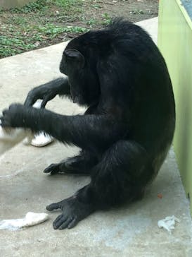 沖縄こどもの国に投稿された画像（2020/2/22）