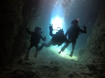 武藤潜水に投稿された画像（2020/2/22）