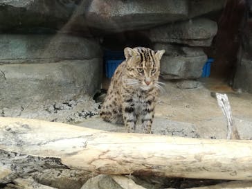 鳥羽水族館に投稿された画像（2020/2/22）