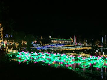 美らヤシパークオキナワ・東南植物楽園に投稿された画像（2020/2/22）