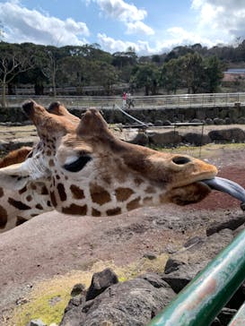 伊豆アニマルキングダムに投稿された画像（2020/2/22）