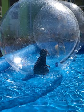 千葉こどもの国 キッズダムに投稿された画像（2020/2/23）