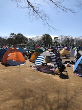 ふなばしアンデルセン公園に投稿された画像（2020/2/23）