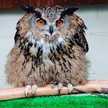 しろとり動物園に投稿された画像（2020/2/23）