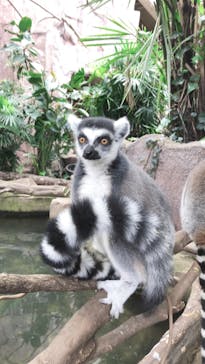 那須どうぶつ王国に投稿された画像（2020/2/23）