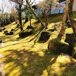 箱根湯の花プリンスホテルに投稿された画像（2020/2/23）