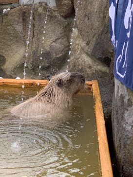 那須どうぶつ王国に投稿された画像（2020/2/23）