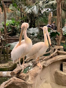 那須どうぶつ王国に投稿された画像（2020/2/23）