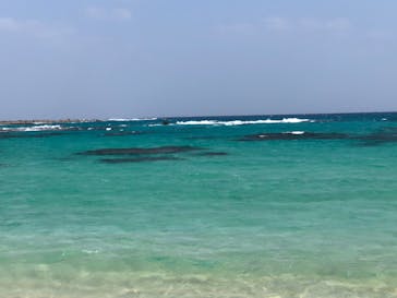 ミッドナイトツアー 奄美に投稿された画像（2020/2/23）