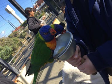 アロハガーデンたてやまに投稿された画像（2020/2/23）