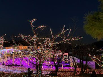 よみうりランド 遊園地に投稿された画像（2020/2/23）