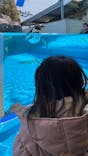 鳥羽水族館に投稿された画像（2020/2/23）
