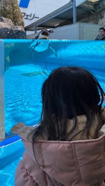 鳥羽水族館に投稿された画像（2020/2/23）