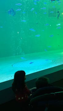 鳥羽水族館に投稿された画像（2020/2/23）