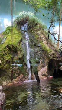 鳥羽水族館に投稿された画像（2020/2/23）