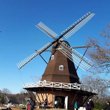 ふなばしアンデルセン公園に投稿された画像（2020/2/23）