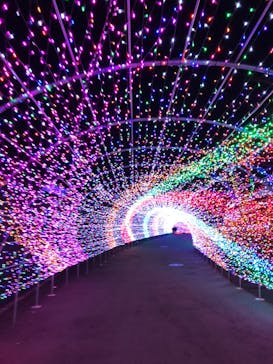 よみうりランド 遊園地に投稿された画像（2020/2/23）