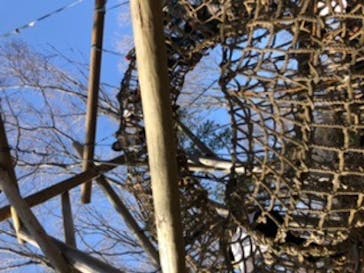 ふなばしアンデルセン公園に投稿された画像（2020/2/23）